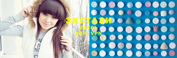 ECSTASY Ельня