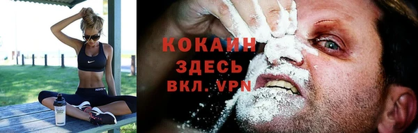 ECSTASY Ельня