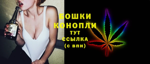 ECSTASY Ельня