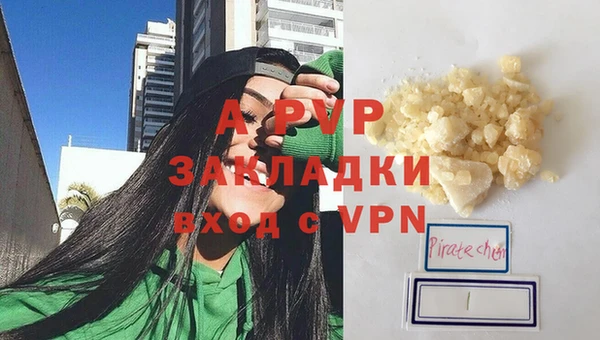 ECSTASY Ельня