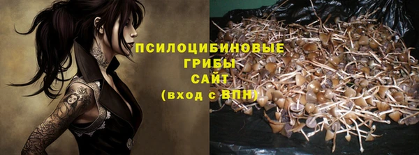 мяу мяу мука Елизово