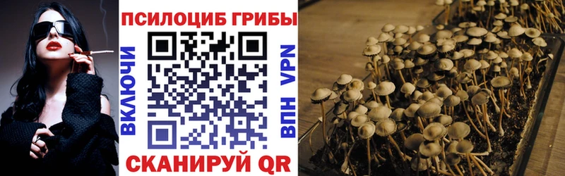 Псилоцибиновые грибы MAGIC MUSHROOMS  Купить где  Куровское 
